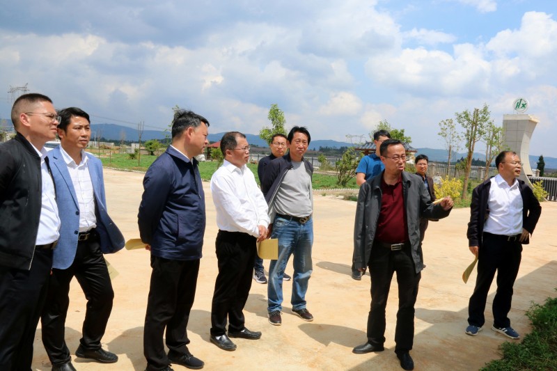 1652055861359748.jpg IMG_7352.JPG