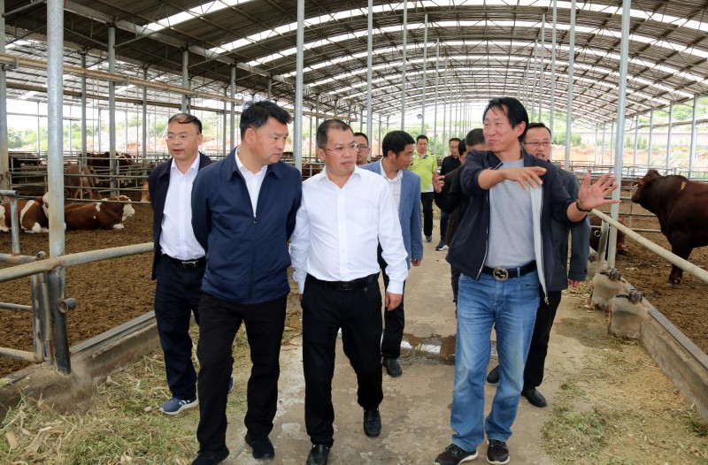 1652055879317152.jpg IMG_7318.JPG