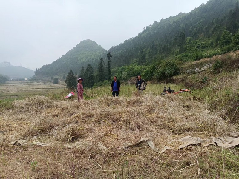 1652229979366843.jpg 微信图片_202205102032193.jpg