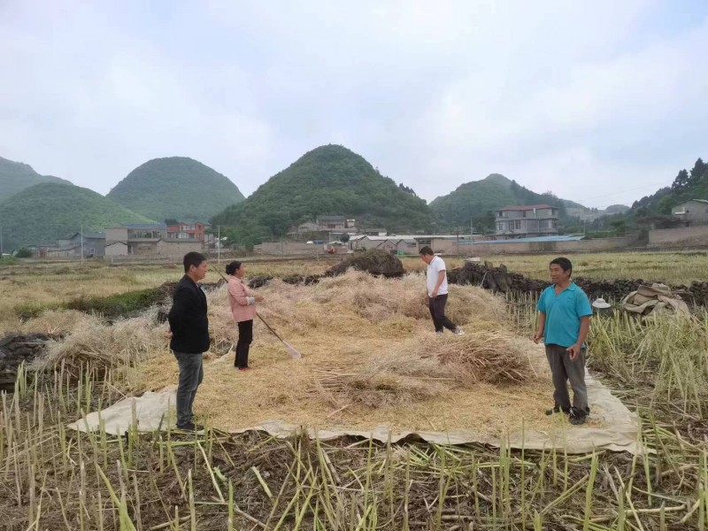 1652229994698600.jpg 微信图片_202205102032194.jpg