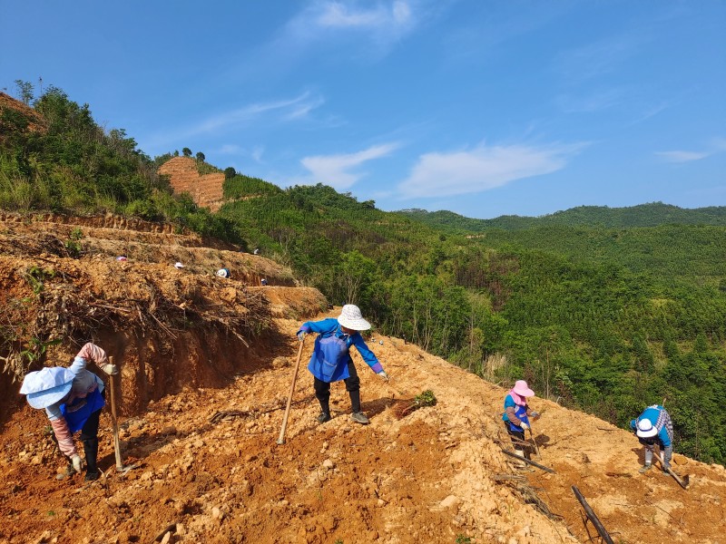 1653265848109778.jpg IMG_20220518_164638.jpg