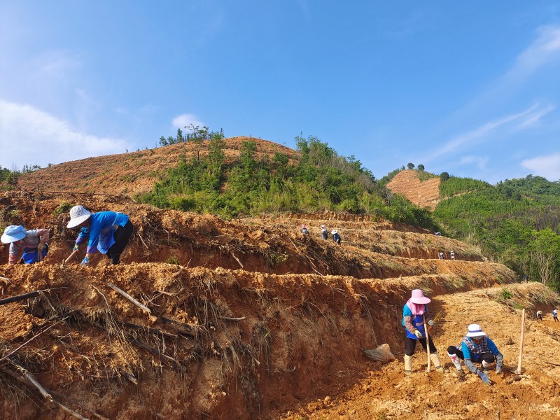 1653265890413659.jpg IMG_20220518_164833.jpg