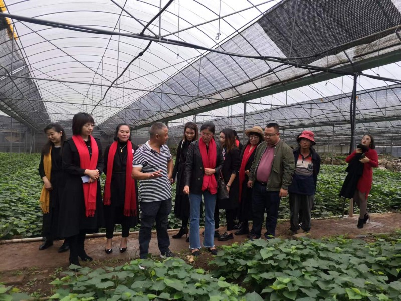 1653523907869667.jpg 微信图片_20220525160157.jpg