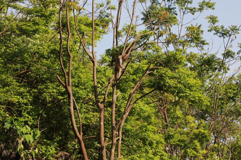 1653899051910036.jpg 6I6A0890.JPG