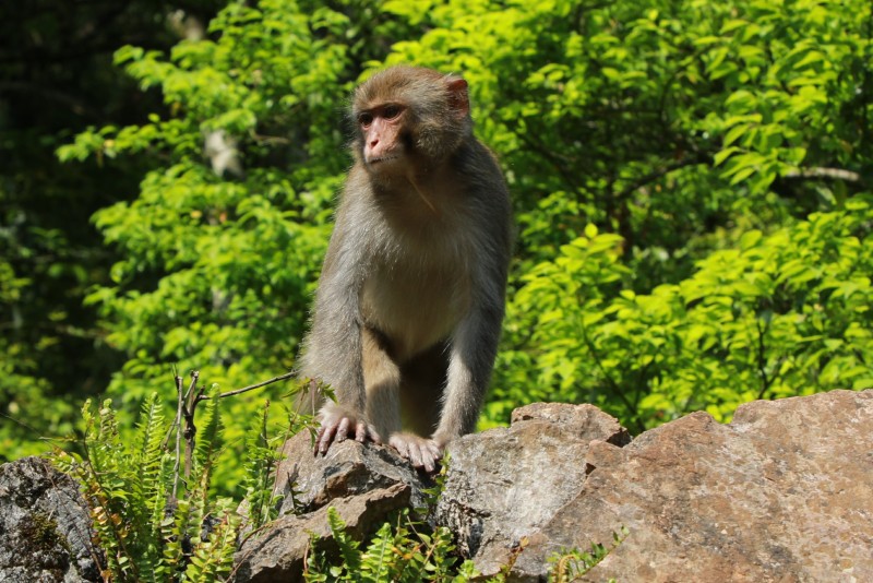 1653899065642959.jpg 6I6A0896.JPG