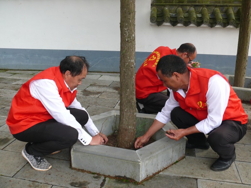 1653899392119752.jpg P1370289.JPG