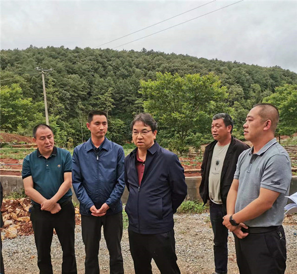 1655092660327137.jpg 2b92a0f1d99c3fcfa8a2351df21272b.jpg