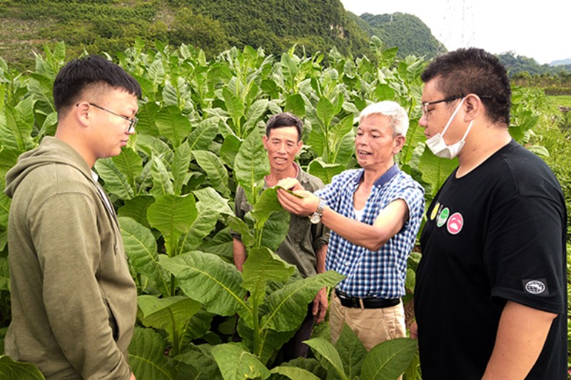 1655970100772998.jpg DJI_0583.JPG