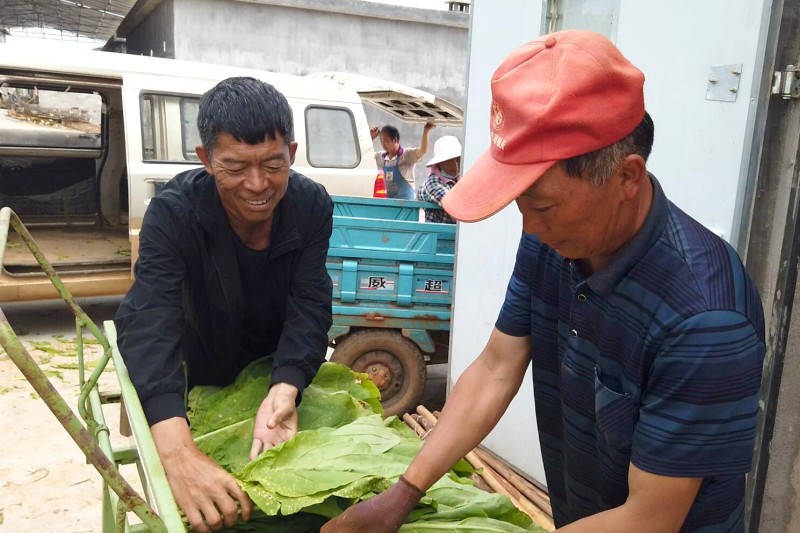 1656901523499414.jpg 编杆.jpg