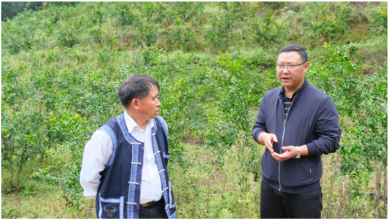 1657067931579859.png QQ图片20220706083650.png