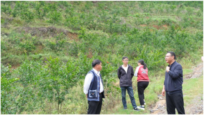 1657067969904495.png QQ图片20220706083710.png