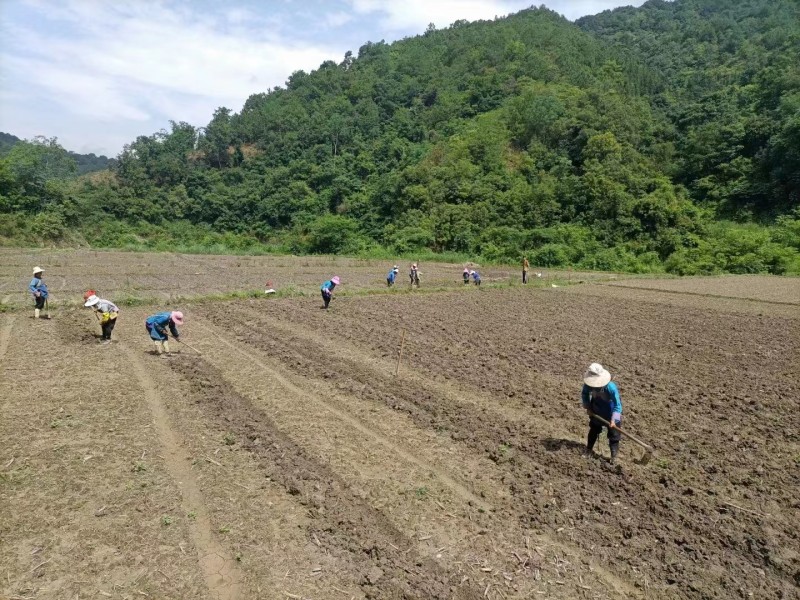 1657585587219127.jpg mmexport1657550590184.jpg