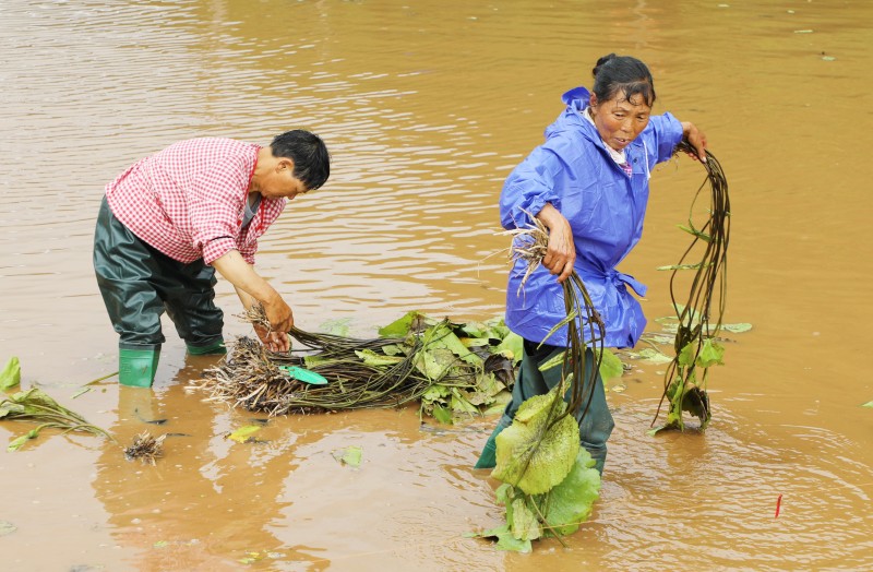 1658109721250854.jpg 897.jpg