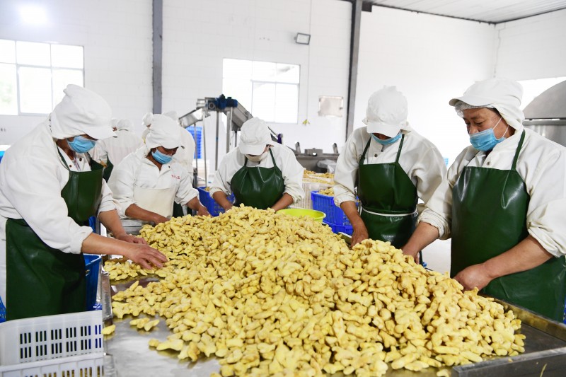 1659594547566568.jpg DSC_0902.JPG