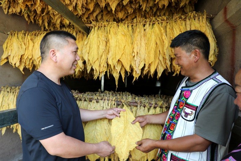 1659919712669275.jpg EV2A9142.JPG