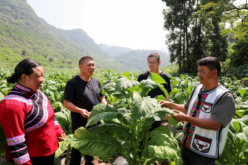 1659919728441888.jpg EV2A9056.JPG