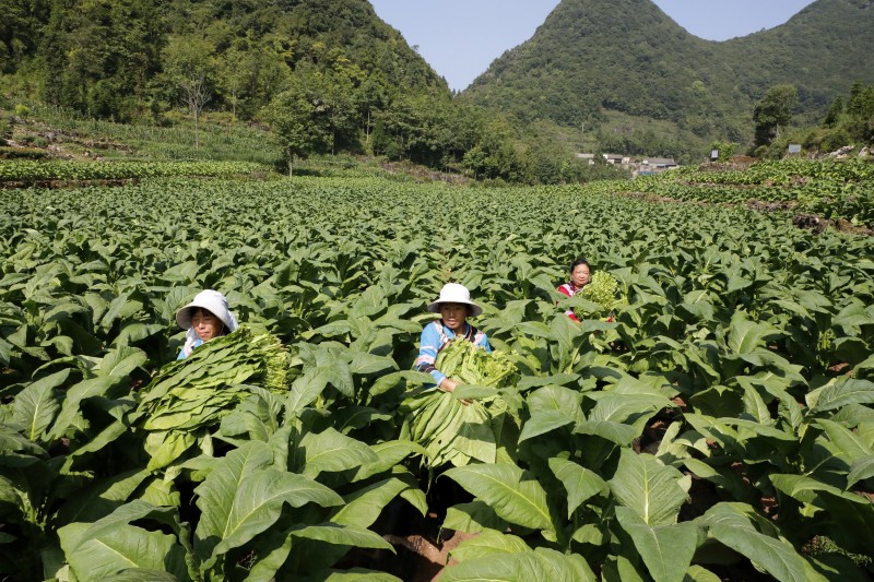 1659919758487414.jpg _V2A8901.JPG