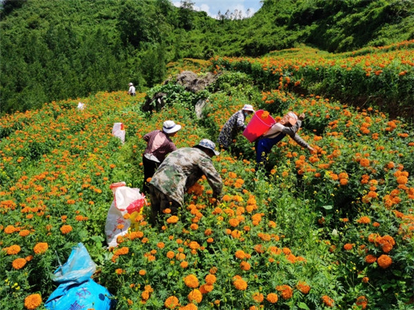 1660548874781789.jpg 6.jpg