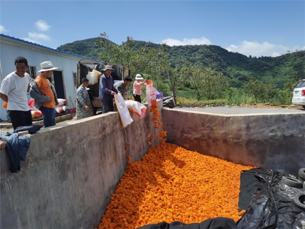 1660548883233969.jpg 7.jpg