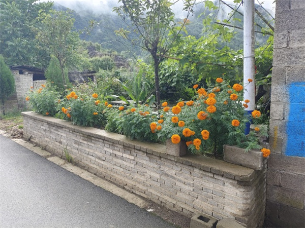 1660548893263985.jpg 10.jpg