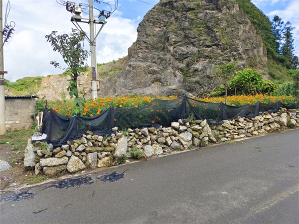 1660548902275388.jpg 11.jpg