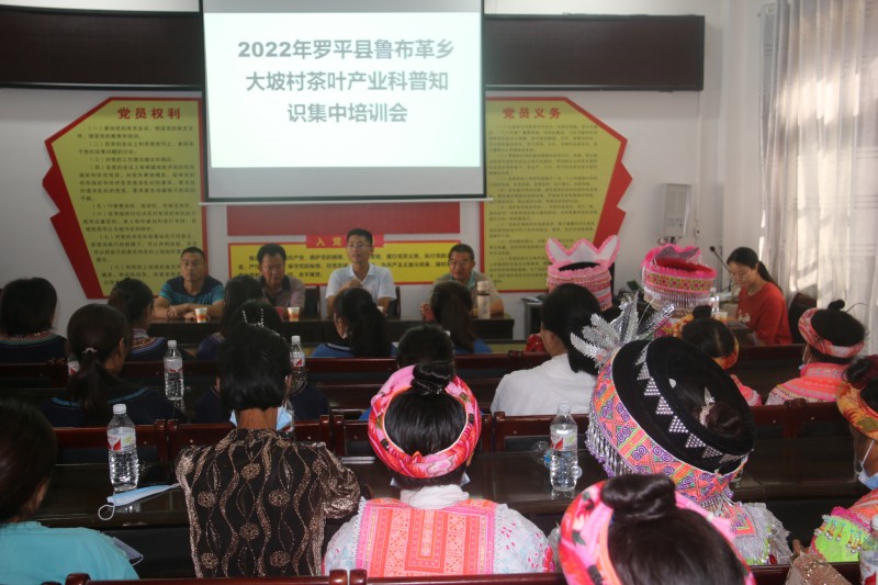 1661131383903525.jpg 1.JPG