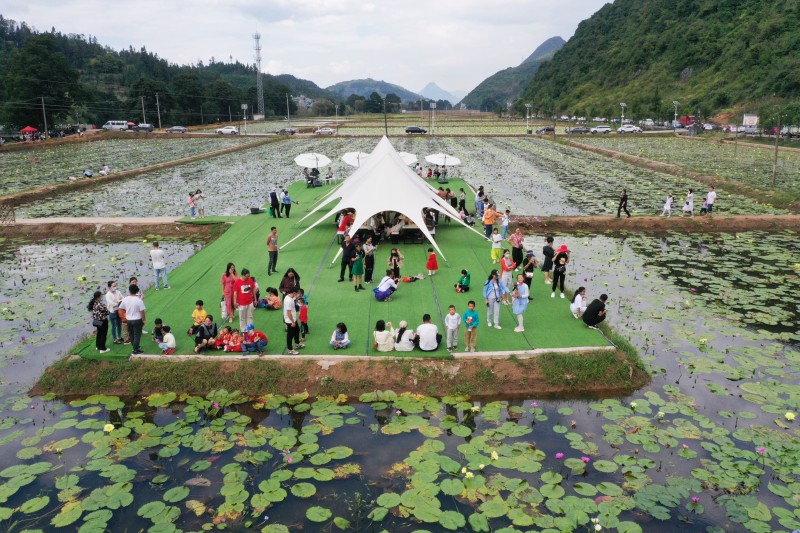 1665533372642269.jpg DJI_0873.JPG