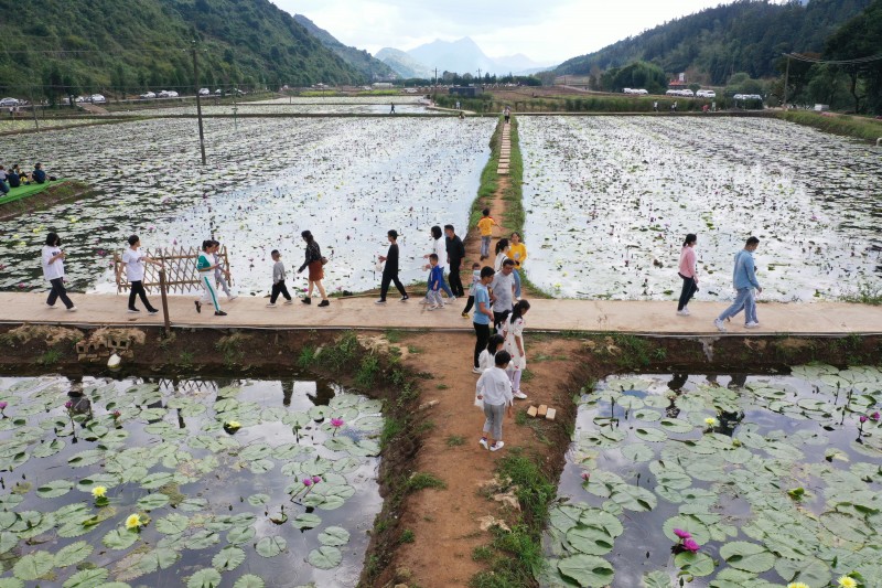 1665533420946041.jpg DJI_0854.JPG