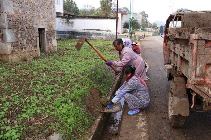 1666572234603560.jpg IMG_0915.JPG