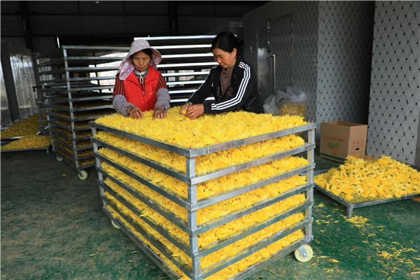 1666940029873017.jpg FN9A5624.JPG