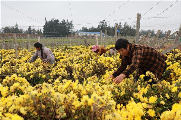 1667205652811069.jpg FN9A5145.JPG