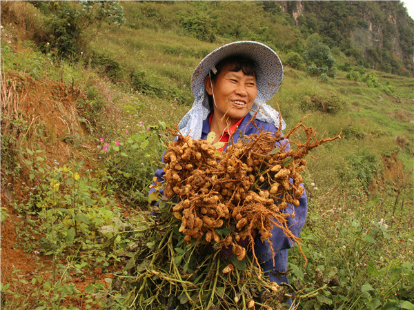 1667268399945230.jpg IMG_7950.JPG