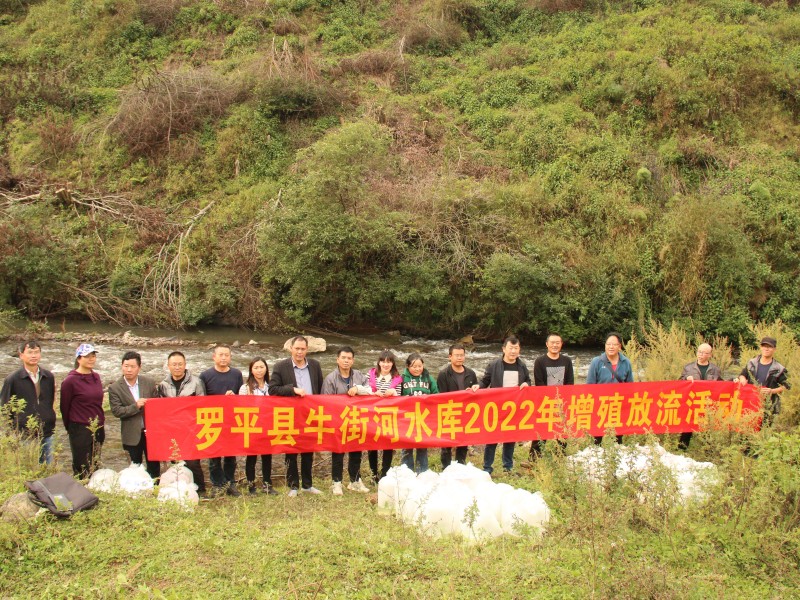 1667824556314053.jpg IMG_8161.JPG