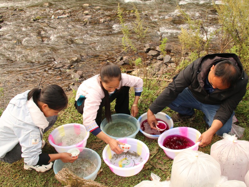 1667824579829798.jpg IMG_8222.JPG