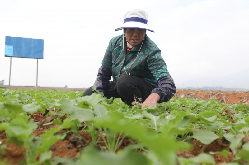 1667826462745250.jpg 0C4A1343.JPG