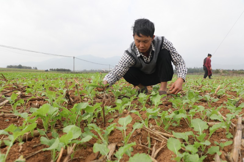 1667826477243477.jpg 0C4A1351.JPG