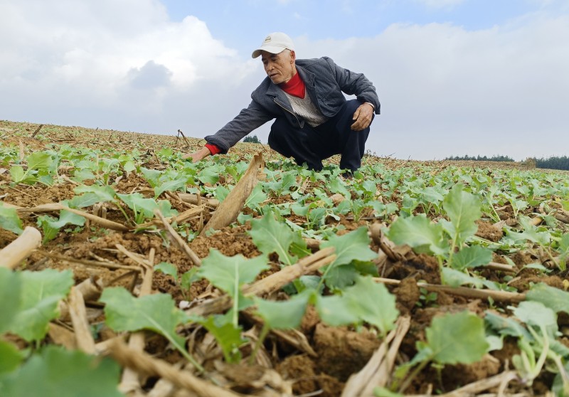 1667826490514760.jpg 微信图片_20221107102436.jpg