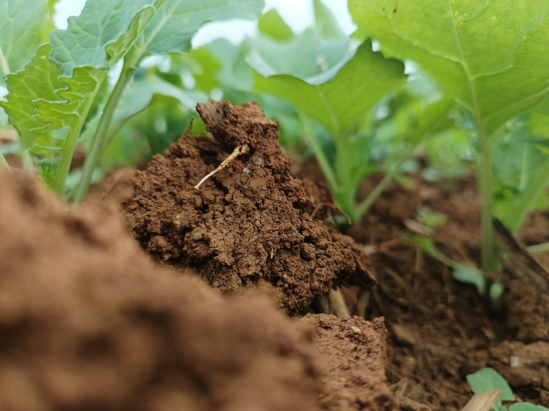 1667826503787884.jpg 微信图片_20221107102440.jpg