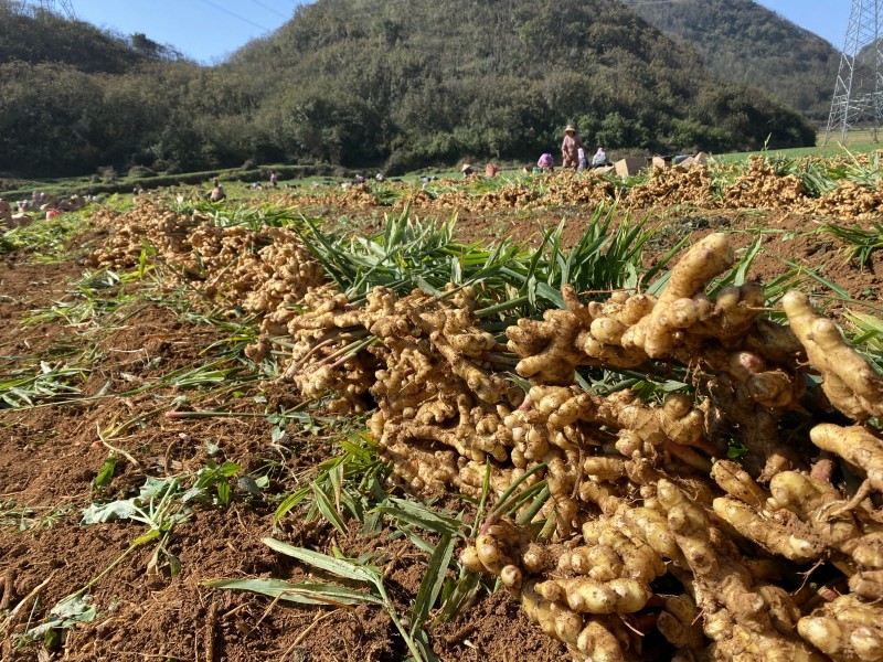 1668386567958766.jpg 微信图片_20221111140140.jpg