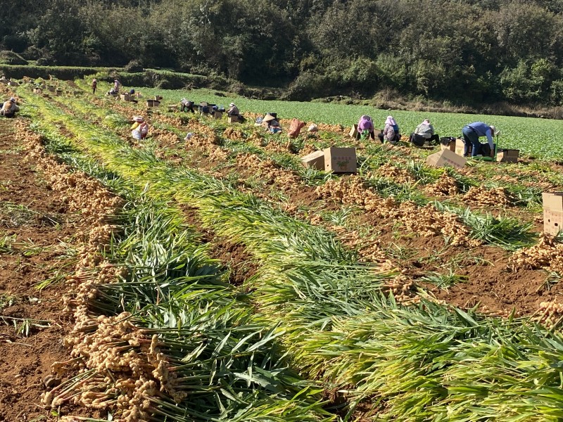 1668386584998034.jpg 微信图片_20221111140209.jpg