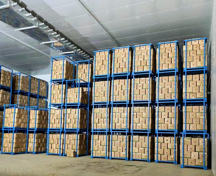 1668386617255584.jpg 微信图片_20221113152803.jpg