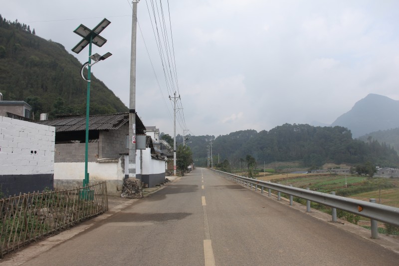 1668387619502761.jpg IMG_1439.JPG