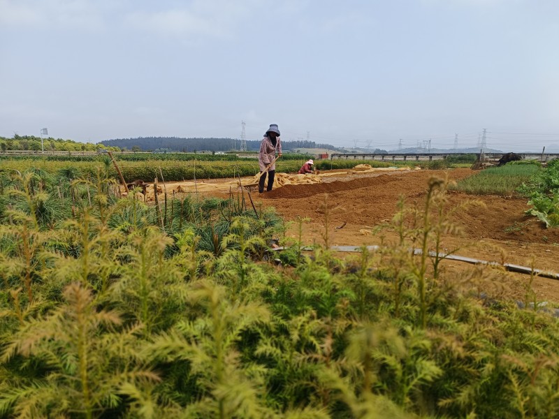 1668992861927725.jpg 微信图片_20221119165912.jpg