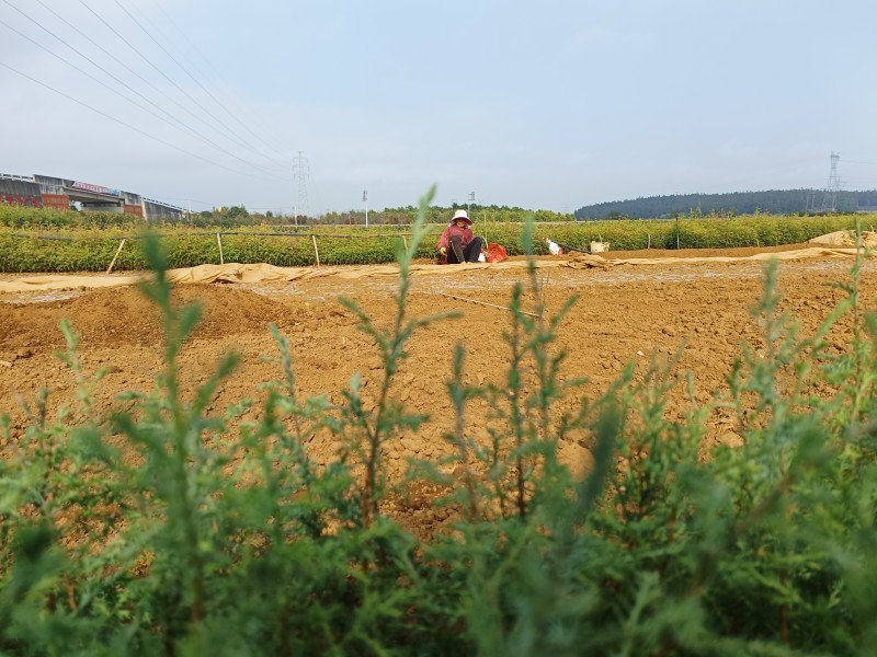 1668992924699139.jpg 微信图片_20221119165900.jpg