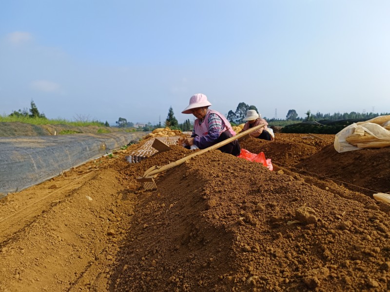 1668992936819888.jpg 微信图片_20221119165917.jpg