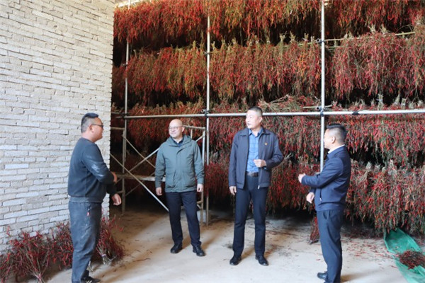 1669083957585072.jpg 2.jpg