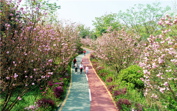 1675217939414756.jpg 新修建的彩色步道.JPG