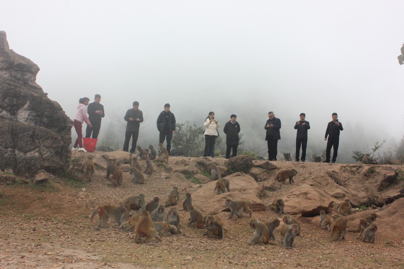 1677459376828513.jpg IMG_1677.JPG