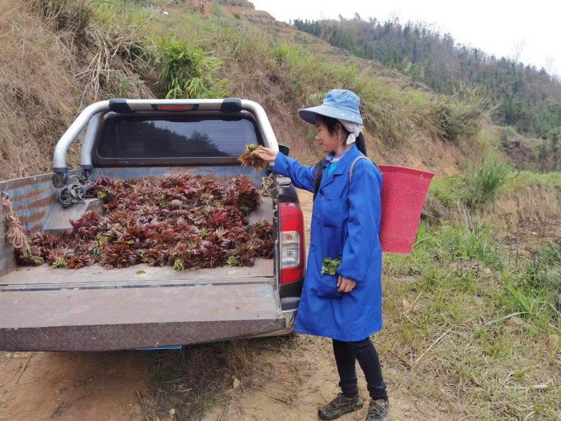 1678069991718458.jpg 微信图片_20230304155221.jpg