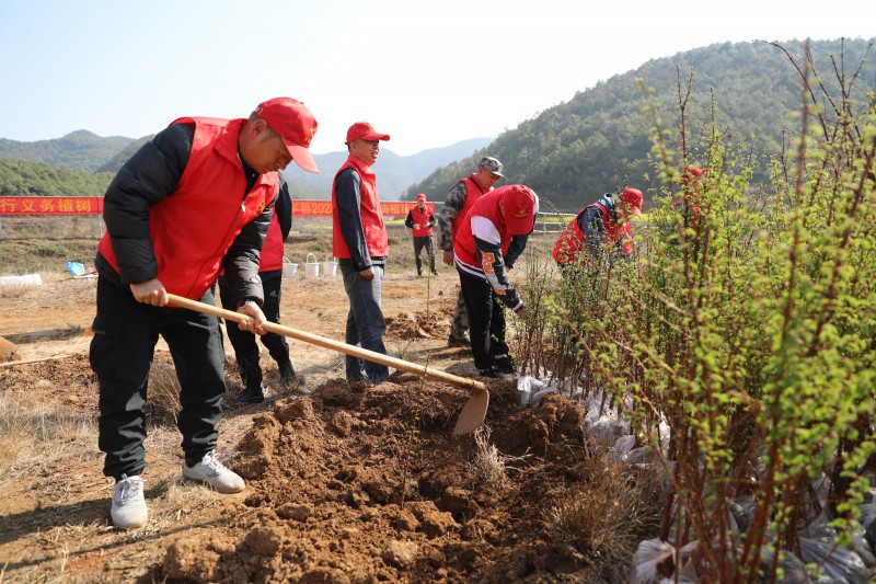 1678671901398495.jpg F09A1751.JPG